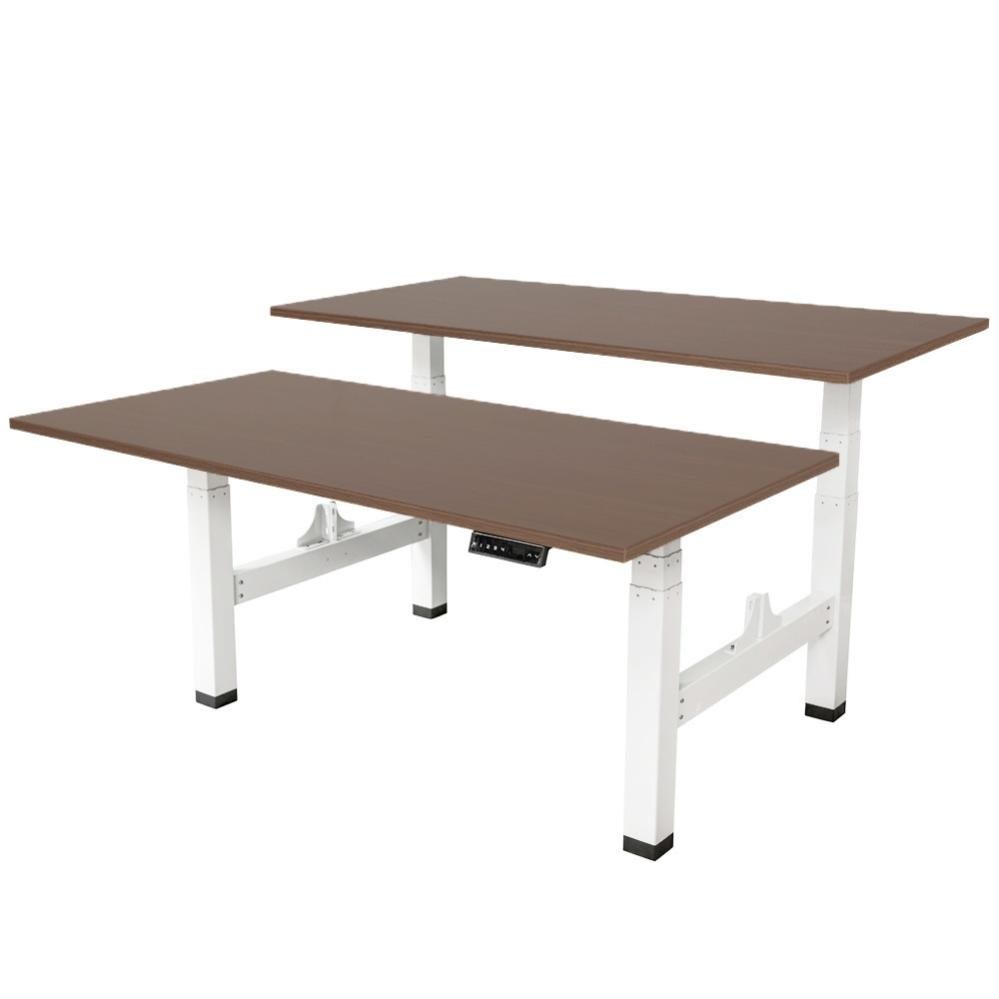 Scrivania duo regolabile elettricamente - 180x80 cm - Due motori doppi -  Bianco / Rovere scuro | Leroy Merlin