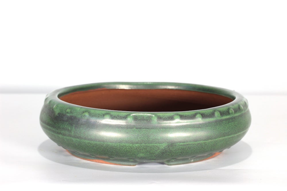 Bonsai Shohin VERDE SMALTATO/Fiore/VASO 12.5 cm Vasi di Ceramica Ocal AA344 