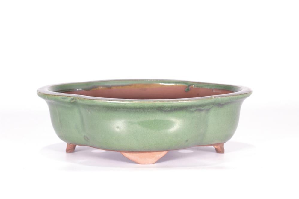 Vaso Bonsai Smaltato Rettangolare Cm. 30 Verde Pisello | Leroy Merlin - Foto 11