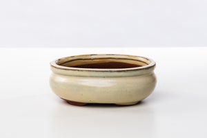 Vaso bonsai smaltato ovale cm. 30 Beige