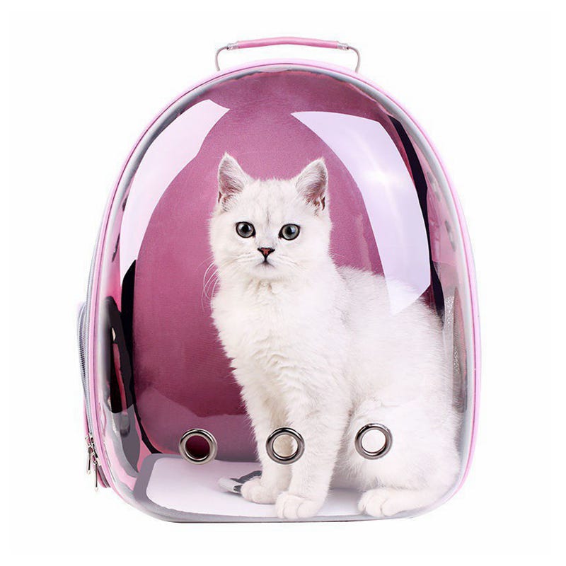 Sac à dos de transport Portable pour chat et chien, sacs à dos transparents  pliables et respirants pour animaux de compagnie (42x26x35cm)