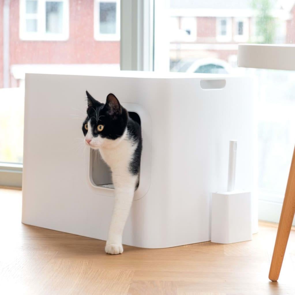 Hoopo Bac A Litiere Pour Chats Dome Blanc Hoopo Leroy Merlin