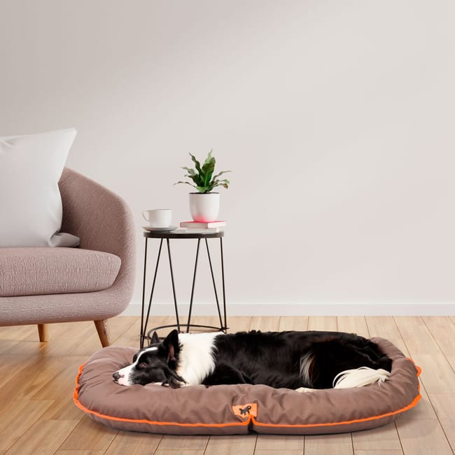Cama best sale perro 80x60