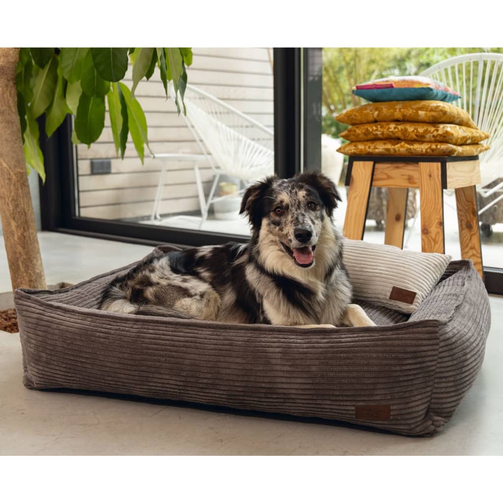 Cuccia per Cani Grigia 75,5x55,5x28cm in Legno Massello di Pino - AMDGarden