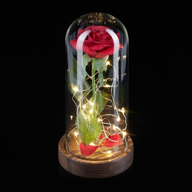 Relaxdays Rose éternelle sous cloche, avec lumière, cadeau pour femmes, la  Belle et la Bête, fleur artificielle, rouge | Leroy Merlin