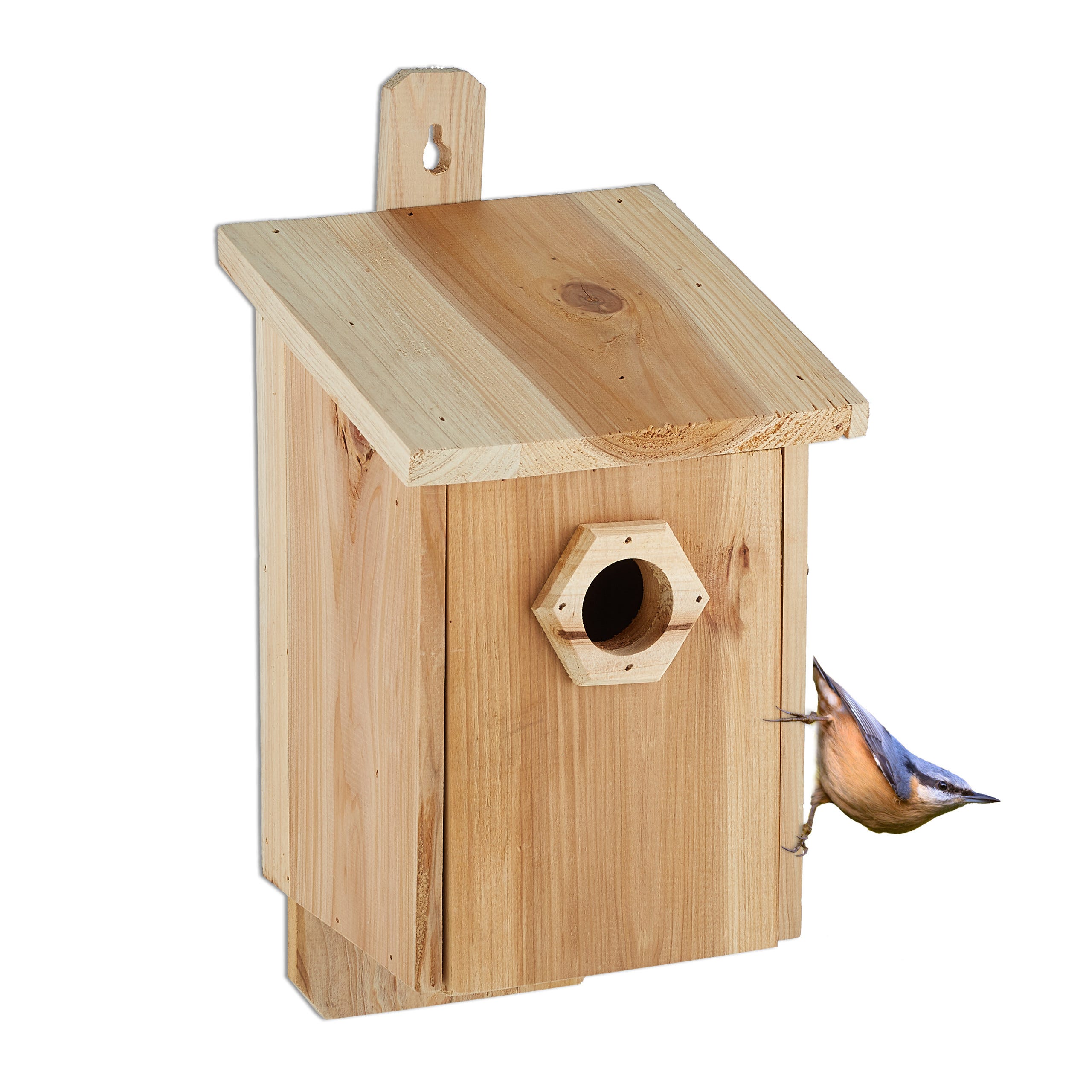 Maison pour oiseaux : où l'acheter et comment l'installer ?