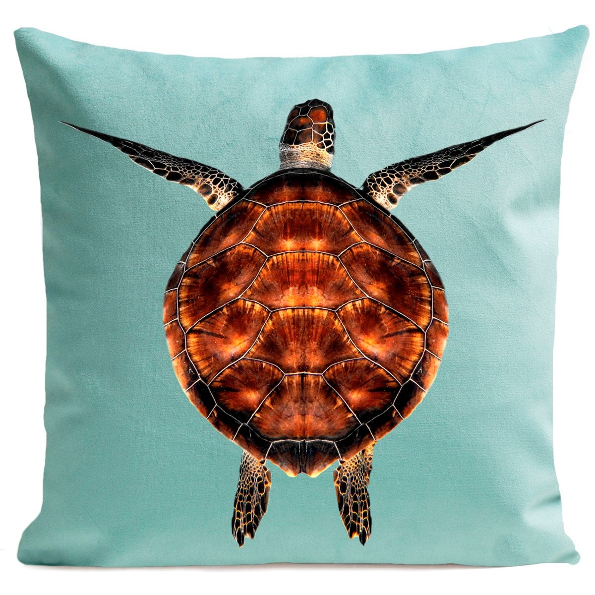Coussin tortue, Miss Turtle