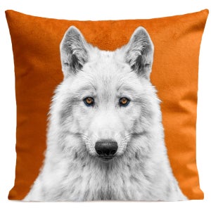 Coussin 40x60 cm LOULOU Blanc - Coussin BUT