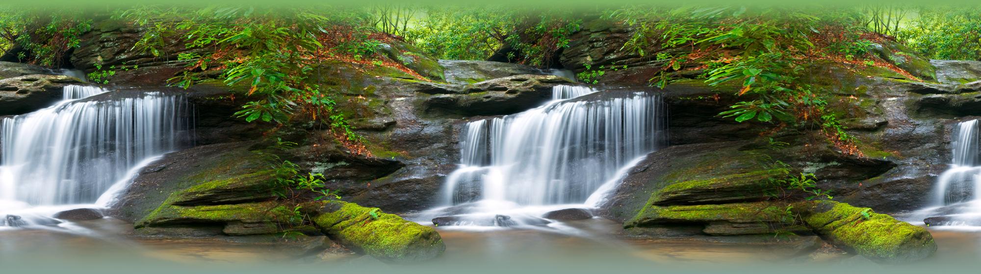 Frise adhésive cascade vert 14 x 500 cm Sanders & Sanders Leroy