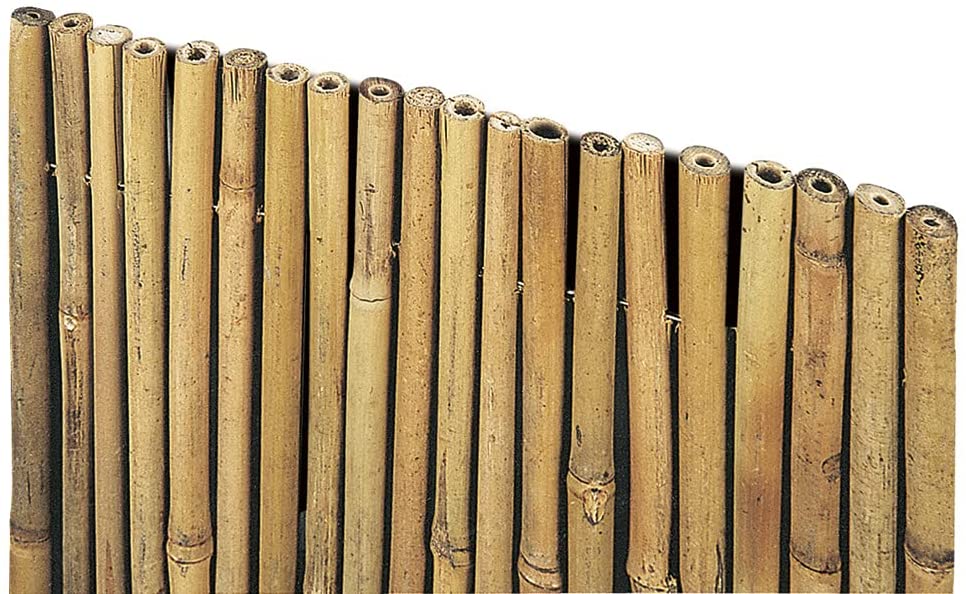 Arella in canne di bamboo naturale Ø 16 mm, stuoia ombreggiante per  recinzioni / 150 x 300 cm