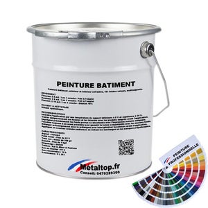 WALLCOVER Colors Peinture Murale Beige Sable 5 L pour l'Intérieur Peinture  Intérieure Light 6B Mate Professionnelle de Qualité Supérieure