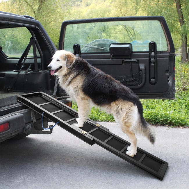 Las mejores 15 ideas de Rampa para perros  rampa para perros, perros,  escaleras para perros