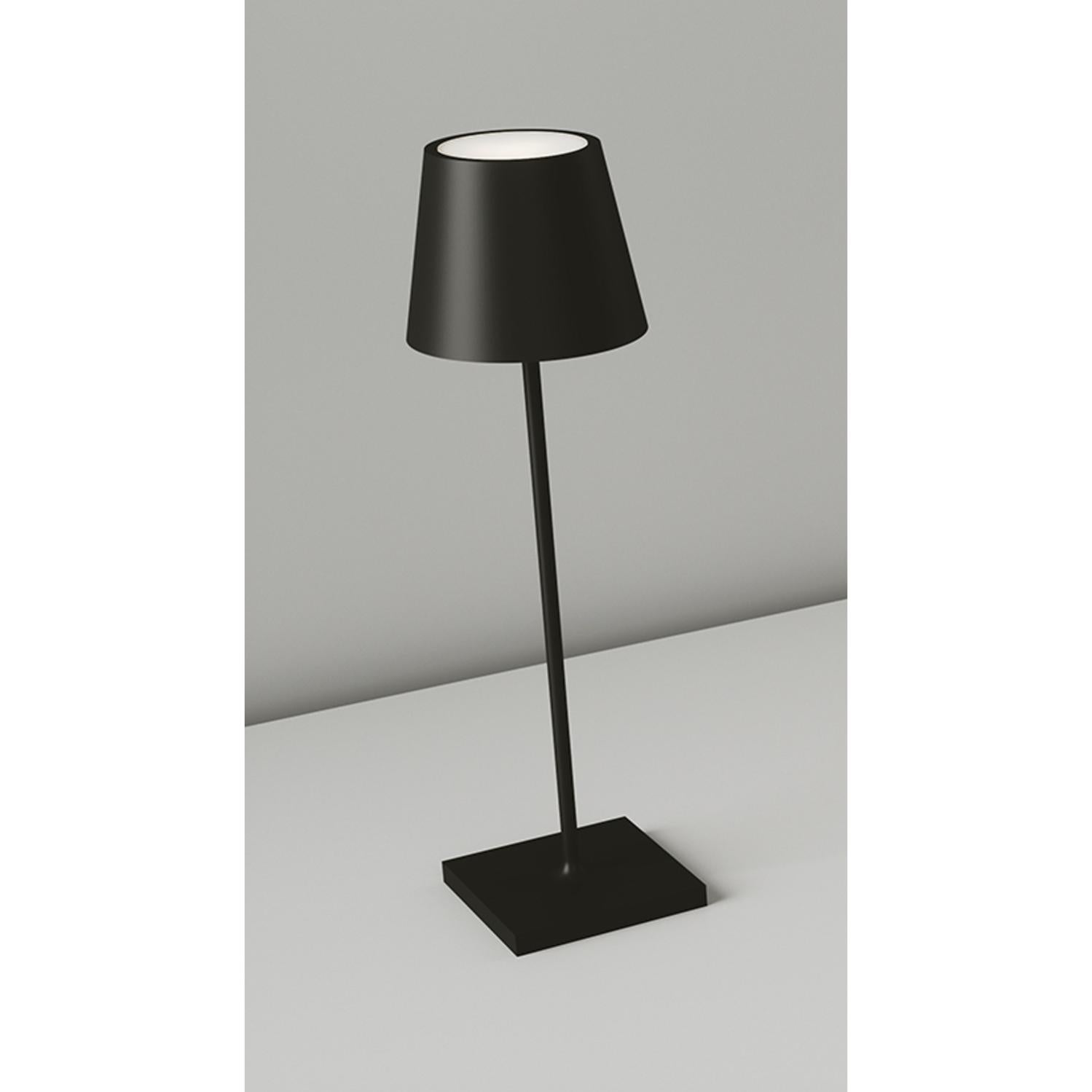Lampada Pesce Pescatore Originale: Fatta A Mano In Metallo, Ricaricabile USB - Decorazione Per Casa E Soggiorno (15x22 Cm) - 2