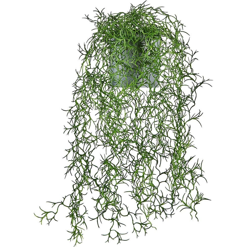 Plante artificielle Plastique Vert PLANTE TOMBANTE ALINEA - Diam
