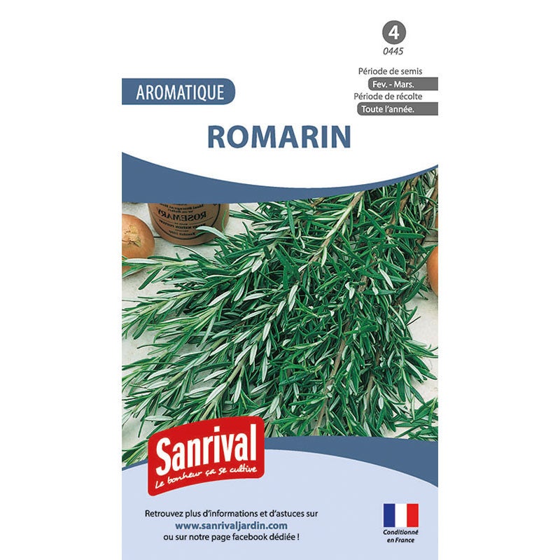Graines de Romarin officinal – Plante vivace aromatique incontournable!