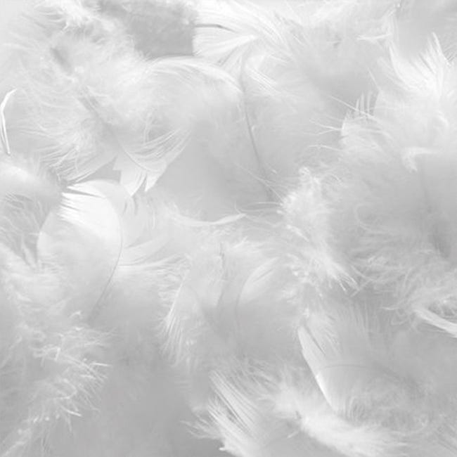 Beliani Almohada de plumas/plumón blanco 50 x 60 cm VIHREN