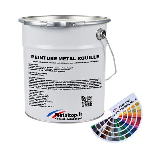 Onlynery Peinture Rouille, 100g antirouille Metal, antirouille