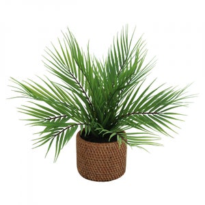 Plante Artificielle Palmier H125cm