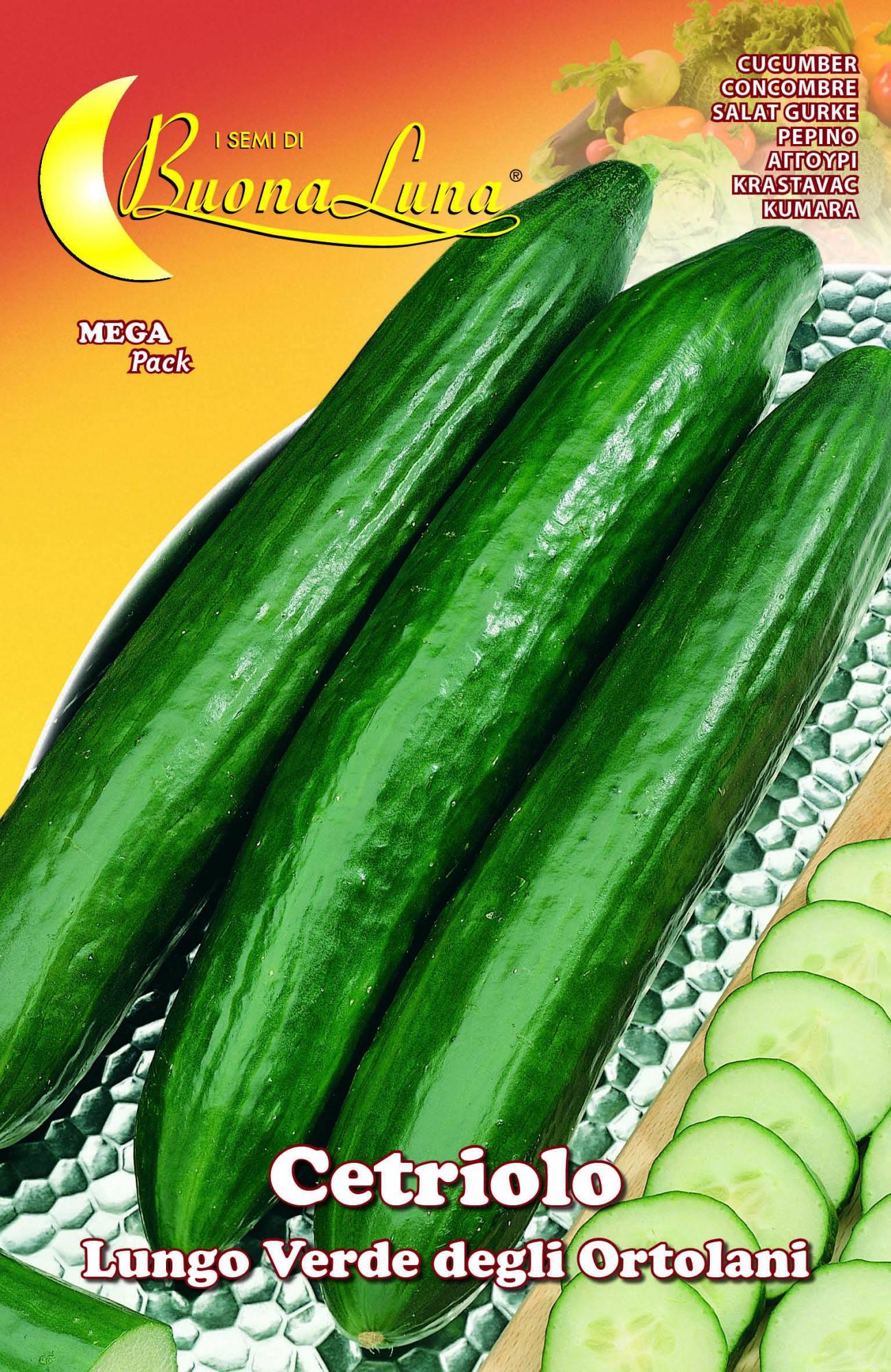 Caroselli E Barattieri I "cetrioli" Pugliesi - In Cucina Con Zia Ralù - Foto 4