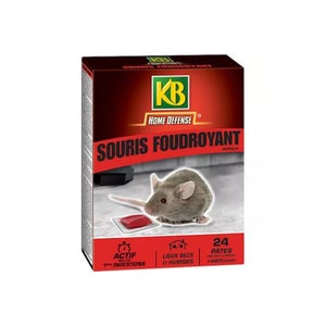 KB Home Defense ® Répulsif rats et souris électromagnétique, 1