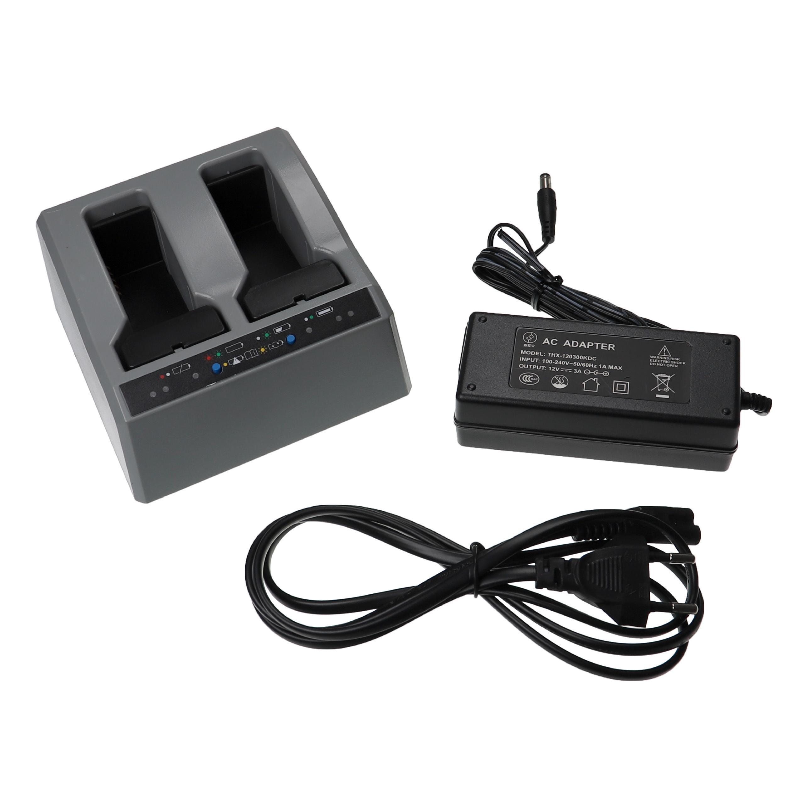 Vhbw Kit accessoires de charge compatible avec Leica TS60 Total Stations,  Viva appareil de mesure - alimentation, chargeur double, câble de connexion