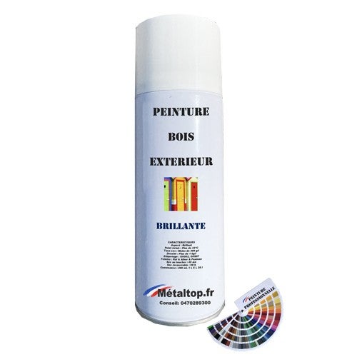 Peinture Bois Exterieur - Metaltop - Bleu Océan - RAL 5020 - Bombe ...