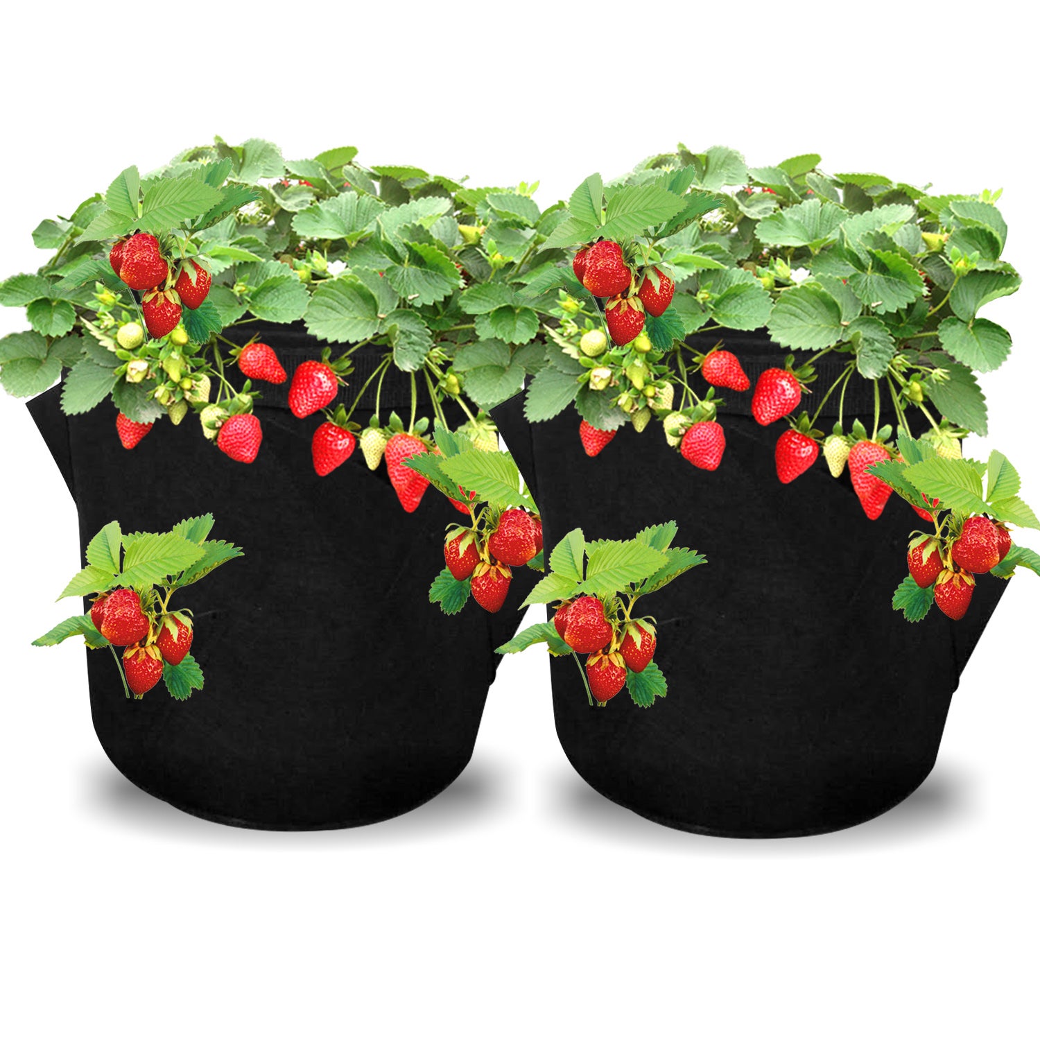 2x sac de plantes accessoires de plantes sac de plantes sac de