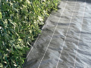 Bache anti mauvaise herbes 1x5m 90g/m2 gris foncé Rolle - Outillage  INDUSTRIE SAS