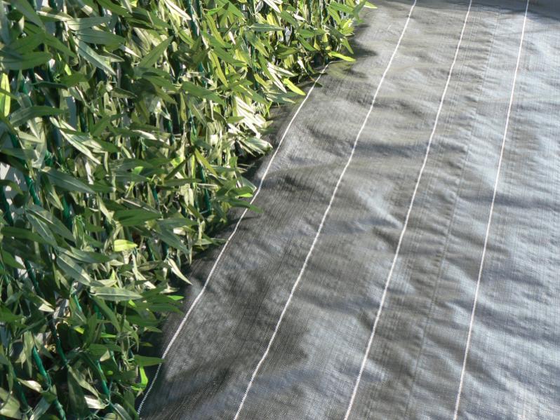 Paillage Jardin Leroy Merlin