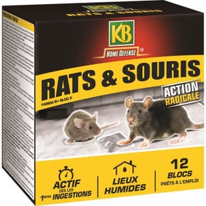 KAPO Choc Rats et Souris Grains