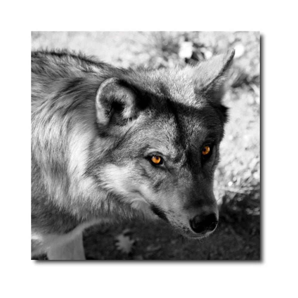 Set 4 Tele Da Colorare 20x20 Cm Per Bambini - Disegni Pre-stampati Per Pittura Creativa (Tema Mare) - Foto 7