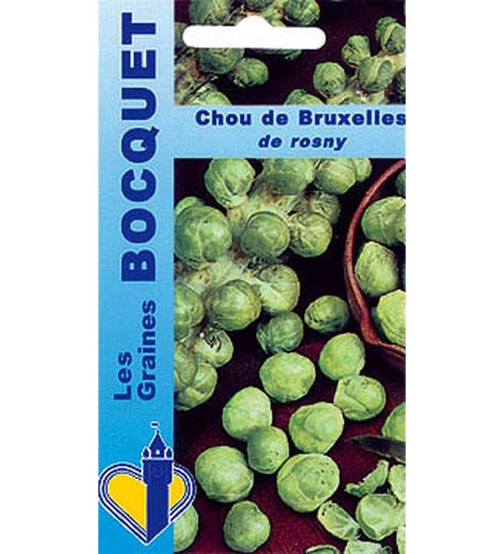 Chou De Bruxelles De Rosny Les Graines Bocquet 3g Leroy Merlin