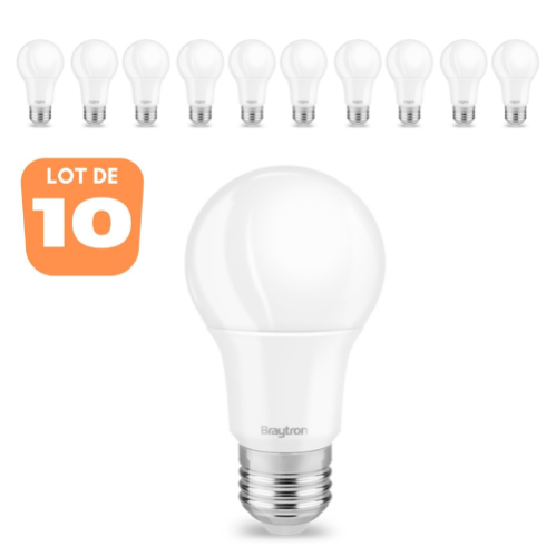 Lot de 10 ampoules LED E27 A60 10W E27 4000K Leroy Merlin