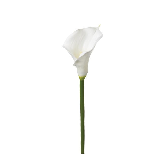 Fleur artificielle Tige Arum blanc H 75 cm | Leroy Merlin
