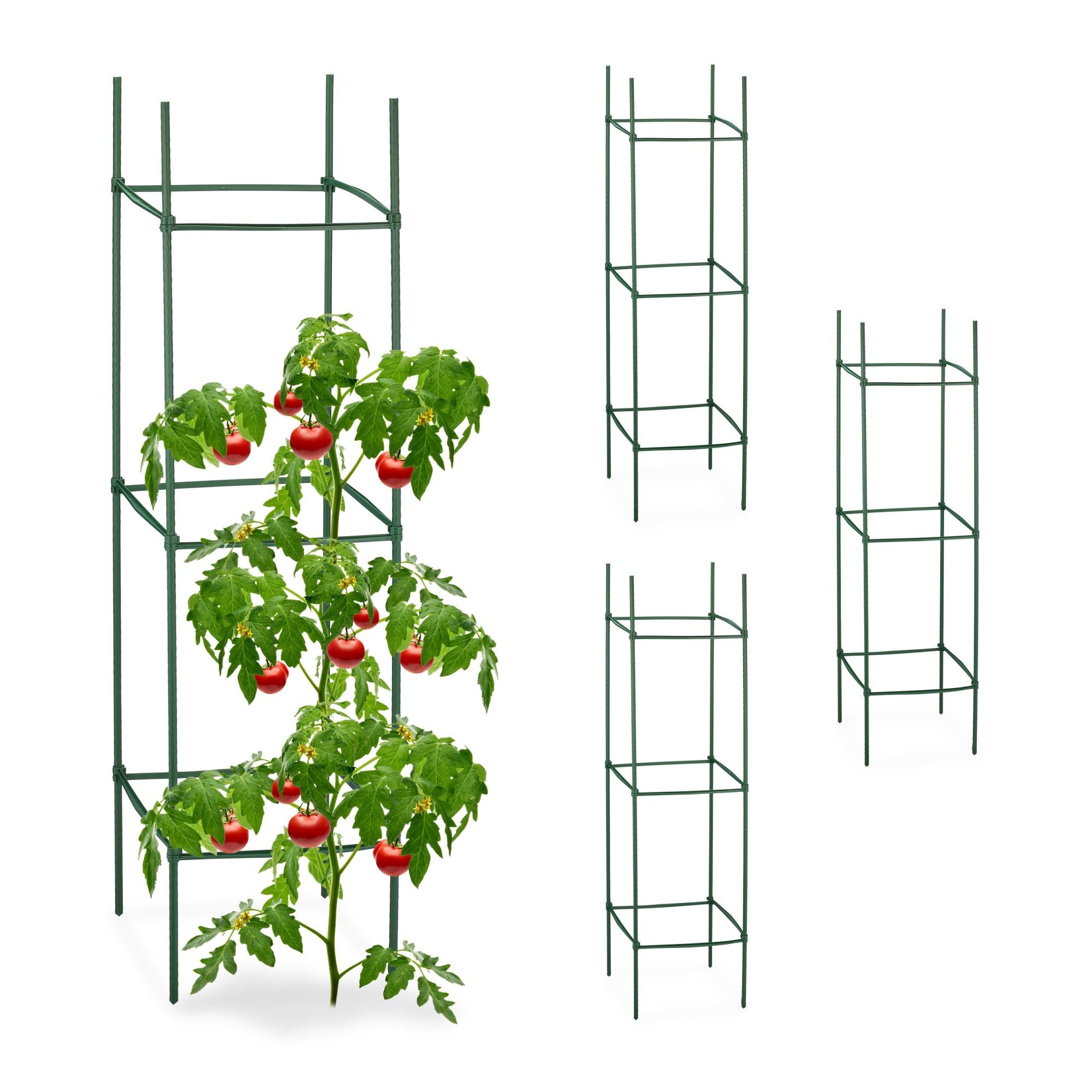 Relaxdays Set da 6 Sostegni Circolari per Pomodori, Piante Rampicanti, Cetrioli, Alti 45 cm, 3 Anelli, Ferro, Verde