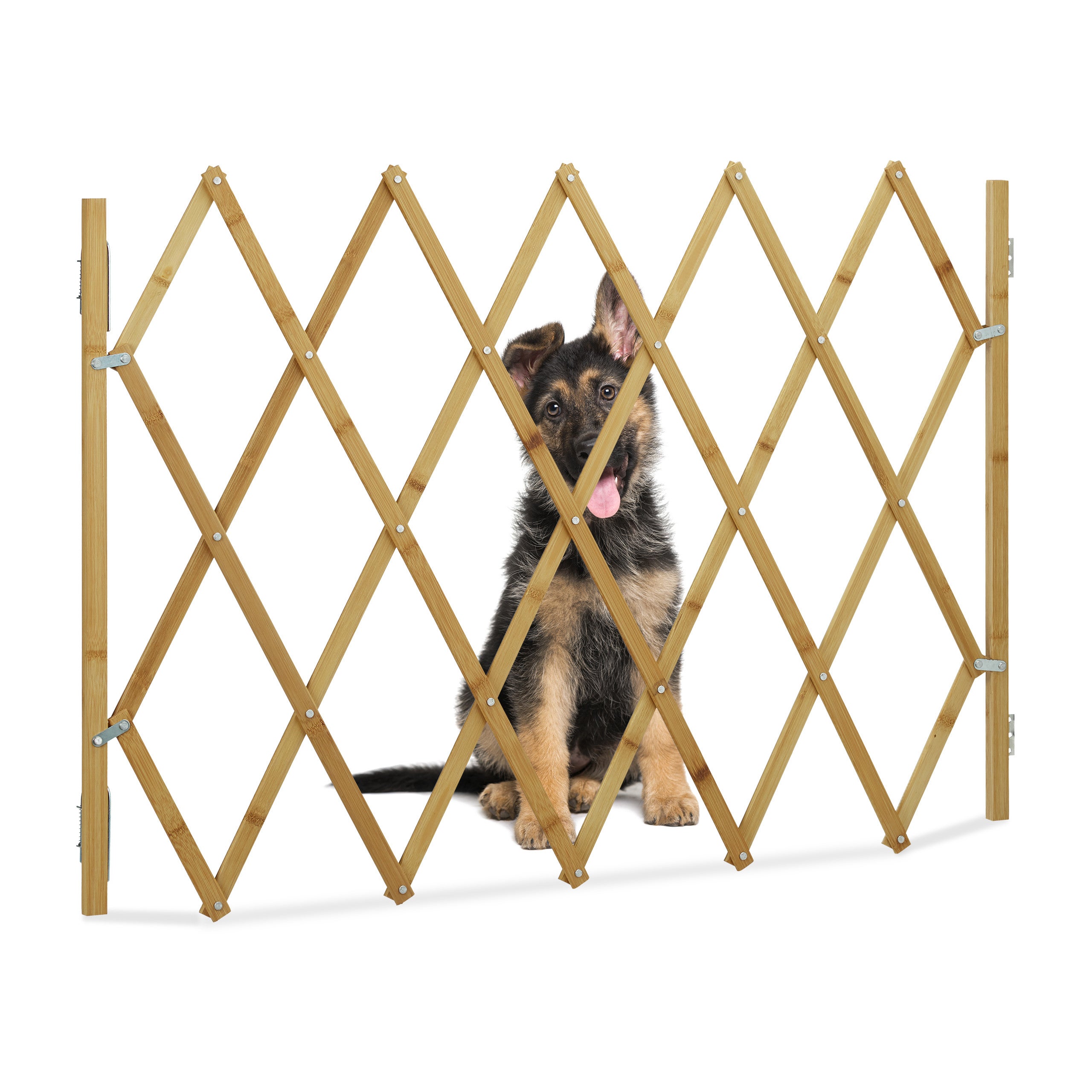 Barrière pour chien : la sécurité à partir de 16.99 € !