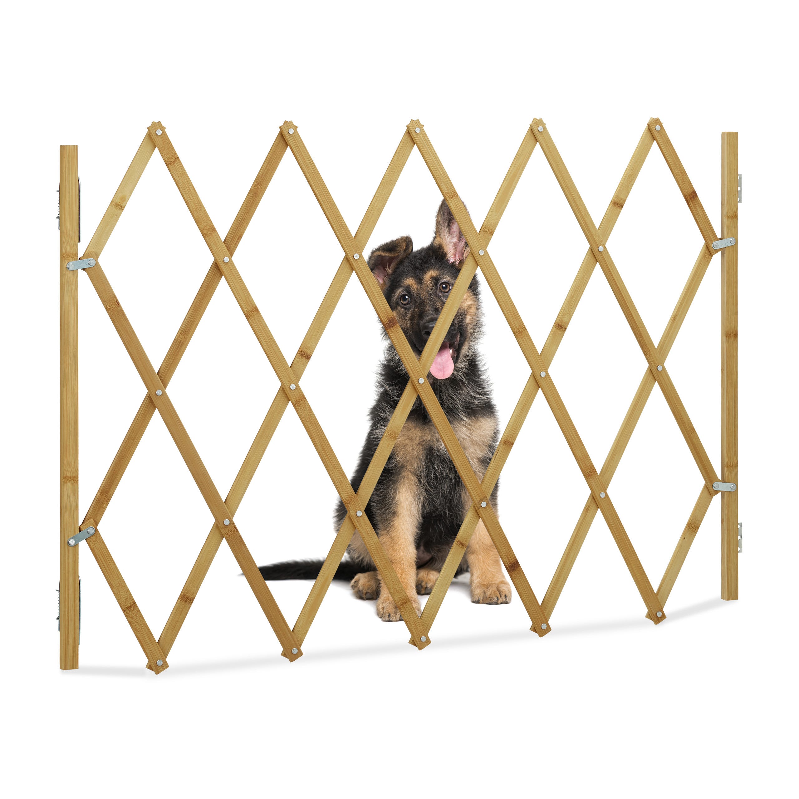 Relaxdays Barrière pour chien, de Protection pour portes et escalier, en  ciseaux extensible jusqu'à 116,5 cm, 82,5cm h