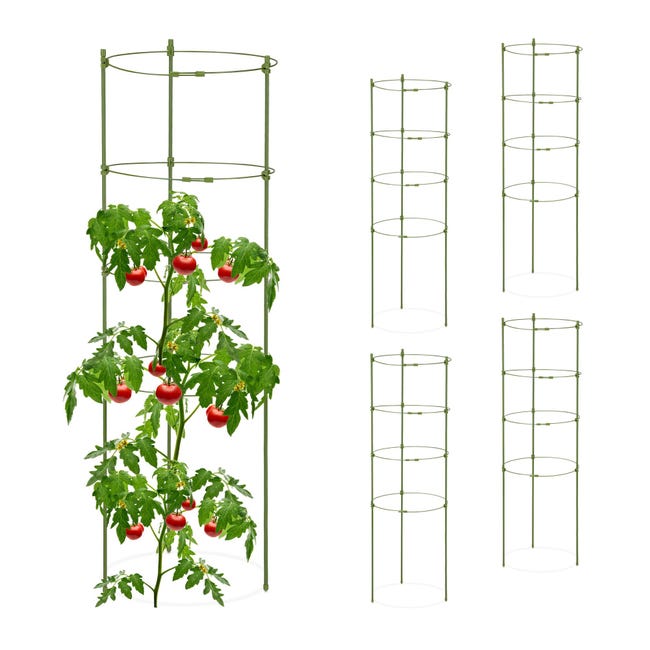50 Bastoncini Di Bambù Per Piante - Supporti Per Orto, Rampicanti E Vaso - Foto 3