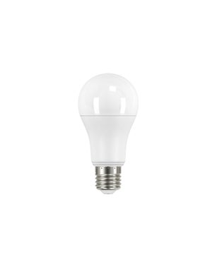 Ampoule LED E27 A65 filament E27 14W (eq. 140 watts) - Blanc du Jour 6000K