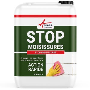Additif anti-moisissures pour peinture DECOTRIC prévention antifongique,  champignons 1L 