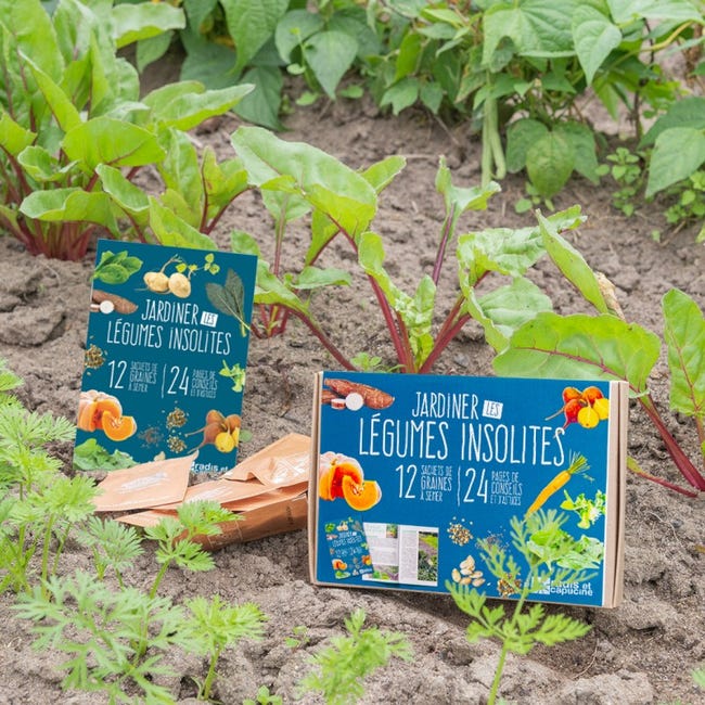 Kit de jardinage légumes insolites