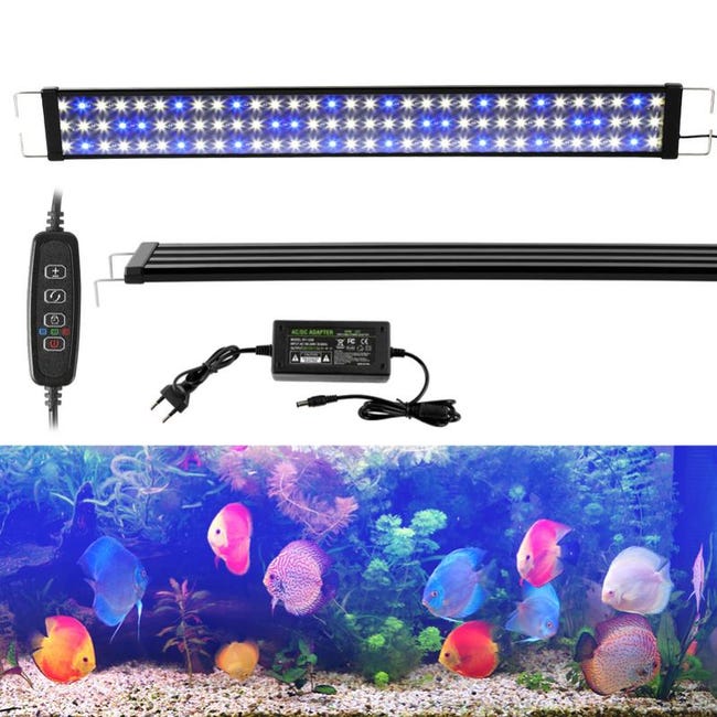 Rollei Softbox Da 50 Cm Per Flash – Luce Morbida, Compatibile Con La Maggior Parte Dei Flash, Con Diffusore E Griglia