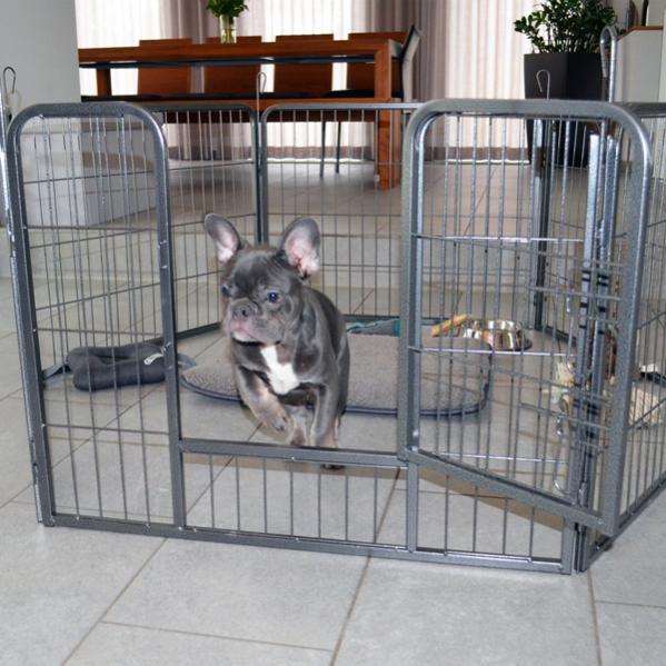 Clôture Pour Chien Fenêtre Barrière Pour Chien Cage Pour Chien Xxxl