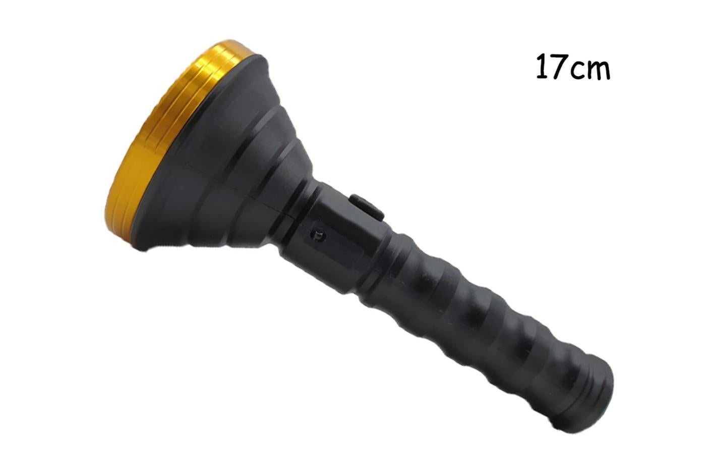 Torcia a luce nera UV da 365 nm per rilevamento di urina e muschio di gatto - 15 W | Leroy Merlin