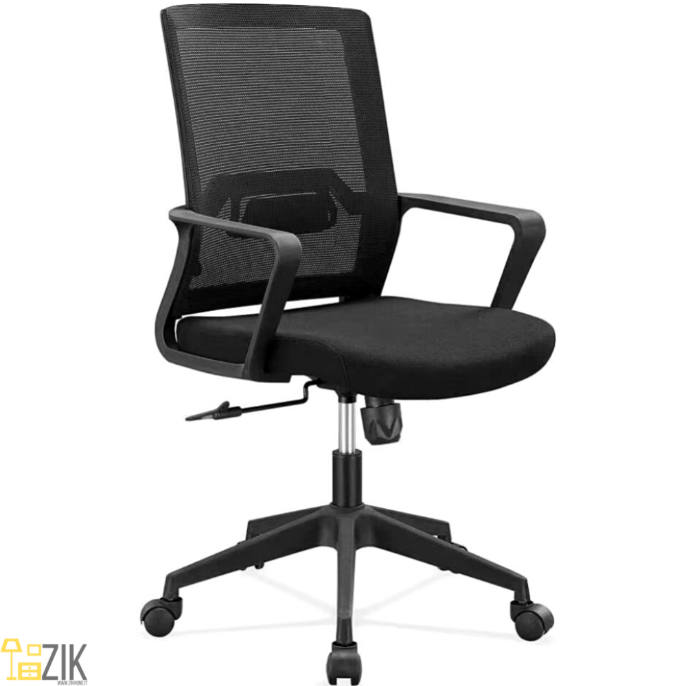 Chaise de Bureau Ergonomique Support Lombaire, Ajustable et Respirant