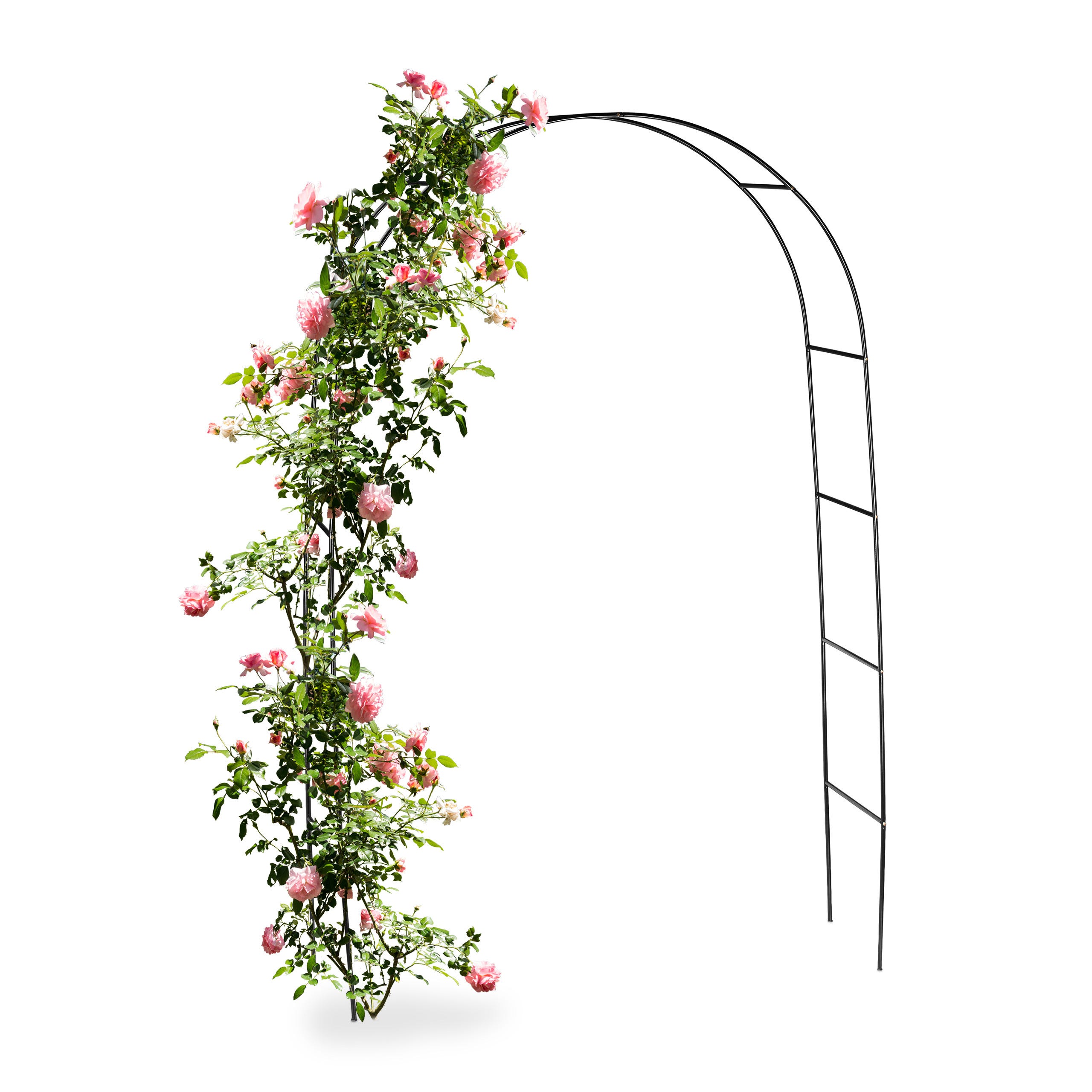 Relaxdays Arche à rosier Arceau de décoration jardin avec portillons H x l  x P: 228 x 116 x 36,5 cm en fer époxy Support pour plantes grimpantes, noir
