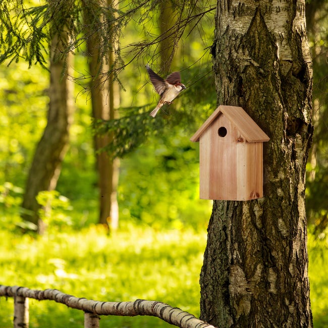 Nichoir ouvert en bois Le Chalet pour oiseaux