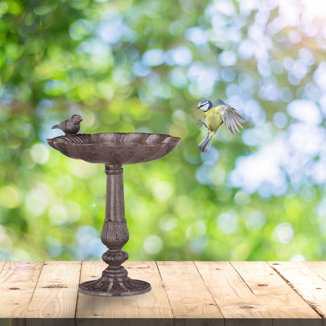 Relaxdays Abreuvoirs en fonte Sur pied, Décoration de jardin, Mangeoire  coquillage pour oiseaux sauvages brun