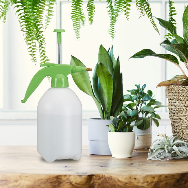 Vaporisateur pour plantes d'intérieur, arrosoir - Mini pulvérisateur d'eau  de style moderne pour le bureau, les plantes grasses, la pelouse en pot