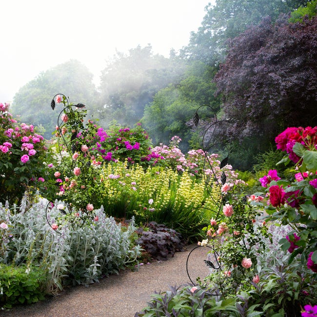 2x obélisques de jardin pour roses, sur pied, tuteur plantes grimpantes,  colonne, métal, HLP 192 x
